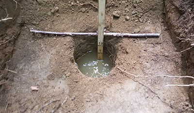 Percolation Testing